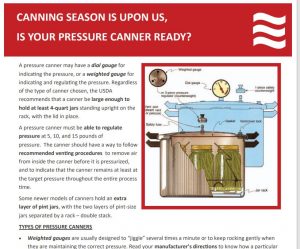 Pressure Canning Testing