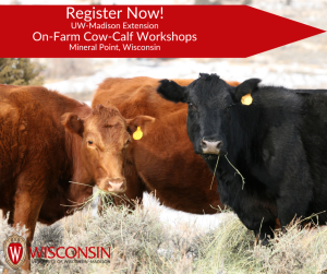 On-Farm Cow-Calf Workshop – November 16th