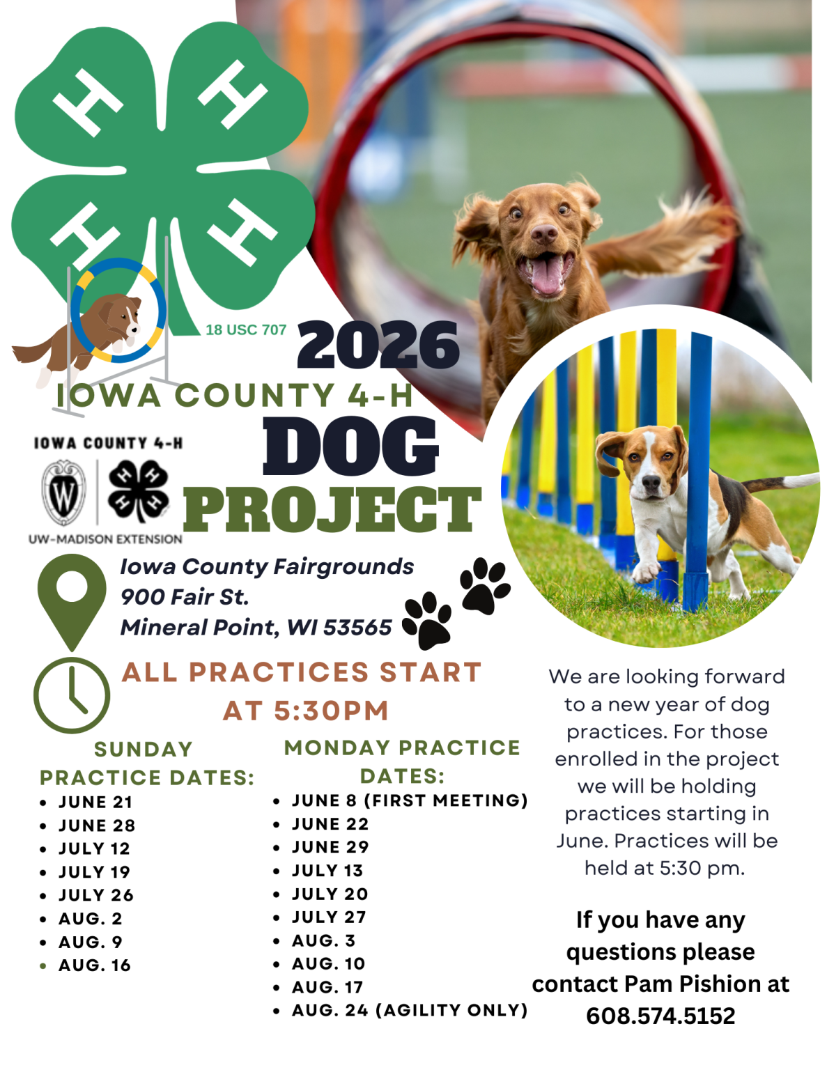 4-H Dog Project – Extension Iowa County